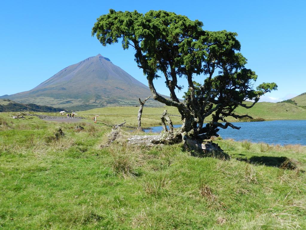 Adega Pedra do Lagar Villa Calheta de Nesquim Bagian luar foto